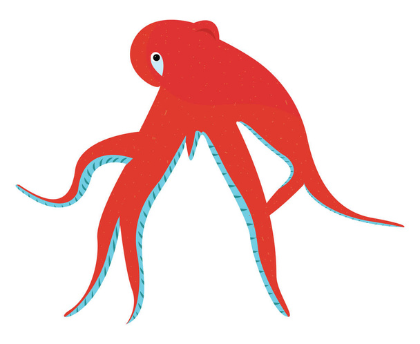 Красный осьминог, иллюстрация, вектор на белом фоне - Вектор,изображение