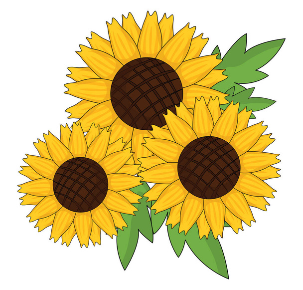 Gelbe Sonnenblumen, Illustration, Vektor auf weißem Hintergrund - Vektor, Bild