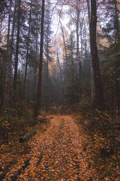 Autumn landscape. Russia. Ural landscape - Zdjęcie, obraz