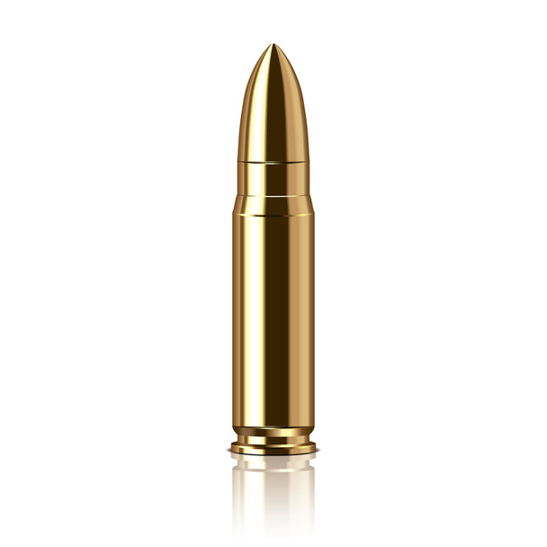 Rifle bullet vector illustration - Vector, Image