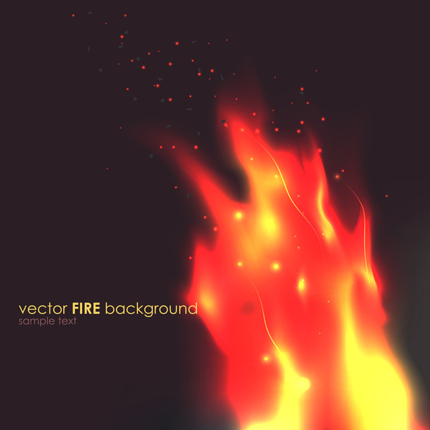 Fire flames - Vektori, kuva
