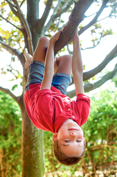 Menino pendurado em um galho de árvore
 - Foto, Imagem