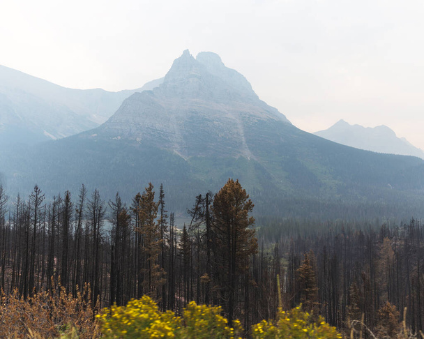 Verrauchte oder neblige Berge im Glacier National Park, Montana. Waldbrandrauch erfüllt den Glacier National Park an einem Spätsommer- oder Herbsttag. - Foto, Bild