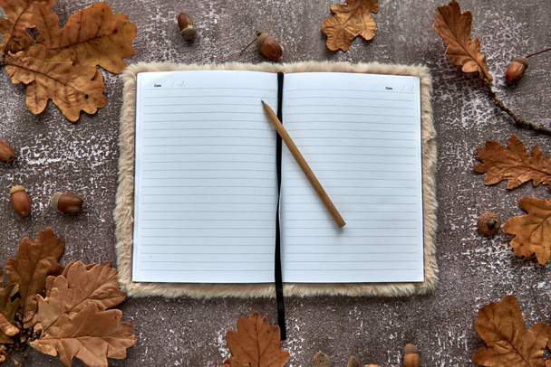 Autumn composition made of brown dried leaves and acorns on dark concrete background. Template mockup blank paper notebook. Fall, halloween. Flat lay, copy space background. - Photo, Image