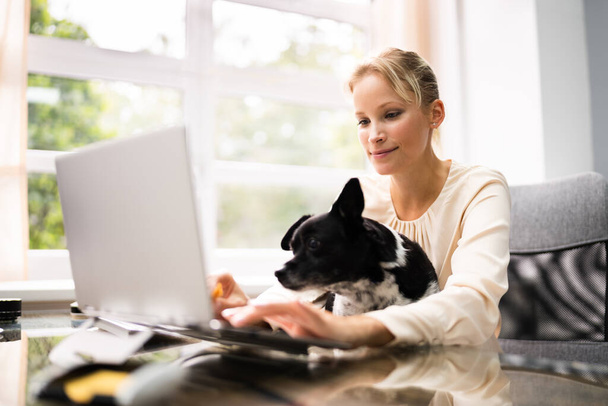 Business Women Working On Laptop Computer With Dog - Фото, изображение