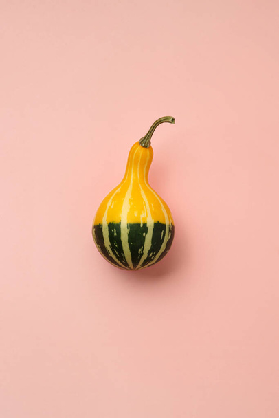 Yellow-green small striped pumpkin on a pink background, still life. Flat lay composition. - Foto, Imagen