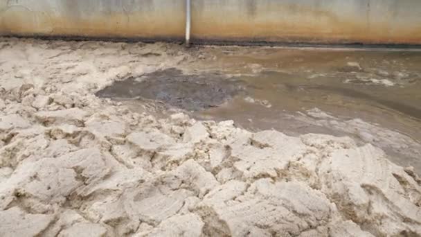 Residual methane and air bibles leave digestible biomass in a sedimentation tank. Thick brown foam. - Footage, Video