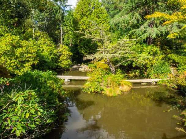 Kubota Garden je 20-akr (81,000 m) Japonská zahrada v Rainier Beach sousedství Seattlu, Washington. Mezi hlavní rysy Kubotské zahrady patří Kubotská terasa, Bambusový háj, Rybníkový náhrdelník, Horský masiv, - Fotografie, Obrázek
