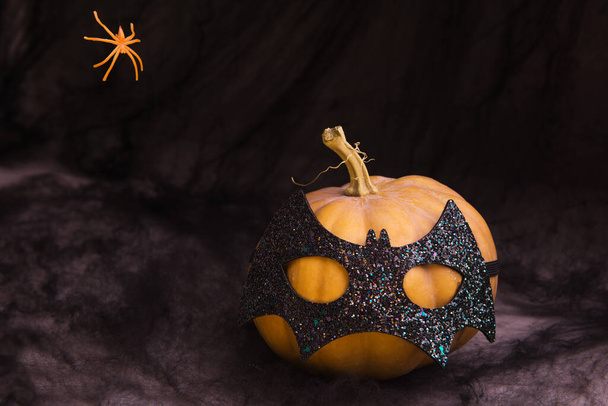 Halloween pumpkin in a bat mask on a black spider web background, with a hanging spider. - Photo, Image