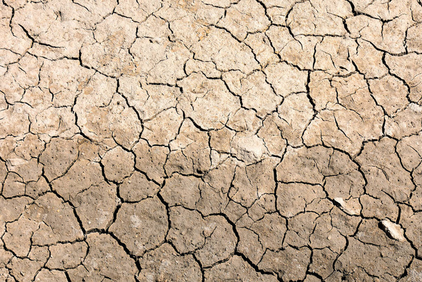 Foto Foto van droge gebarsten modder aarde textuur - Foto, afbeelding