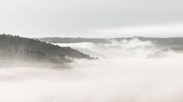 mist en mist die Blaubeuren bedekt met het kasteel Rusenschloss op de top van de berg in de herfst in de ochtend met de zon die door de wolken piekt. - Foto, afbeelding