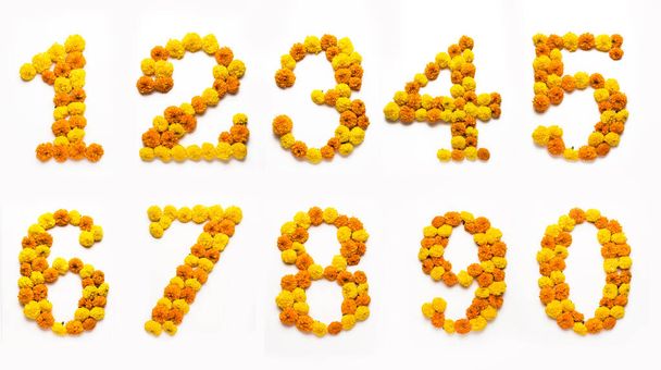 Número, dígito o alfabeto inglés hecho con caléndula o zendu de flores - Foto, Imagen