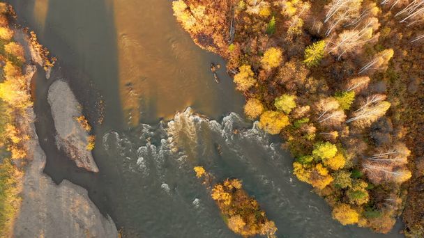 Vista aérea desde el dron del arroyo del río de montaña y bosque de otoño. Hermoso paisaje natural de otoño al atardecer, vista de aves. Fuerte caudal fluvial con rápidos. - Foto, imagen