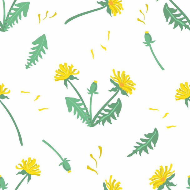 Vektornahtloses Muster aus gelben Blüten auf weißem Hintergrund. Löwenzahn wiederholt Ornament. Design für den Druck auf Textilien, Papier, Tapeten, Verpackungen. - Vektor, Bild