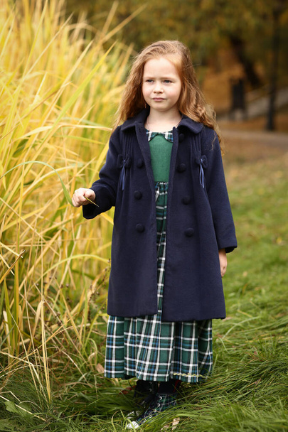 Irský malý červený vlasy dívka smích venkovní fotografie na podzim krajina backgroun - Fotografie, Obrázek