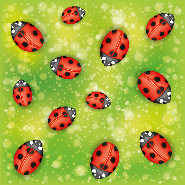 Vector background. Ladybugs. - Vektor, Bild