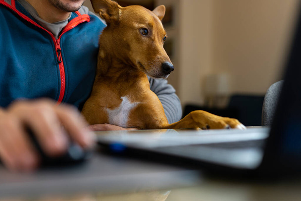 Um homem, a tentar trabalhar com o portátil de casa, mas o cão não o deixa, ou quer ajudar. - Foto, Imagem