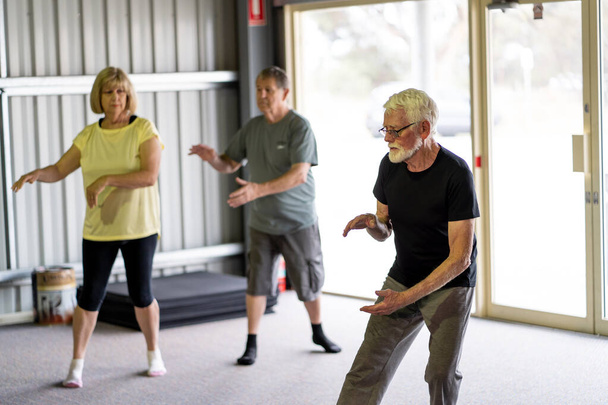 Group of seniors in Tai Chi class exercising in an active retirement lifestyle. Mental and physical health benefits of exercise and fitness in elderly people. Senior health care and wellbeing concept. - Photo, image