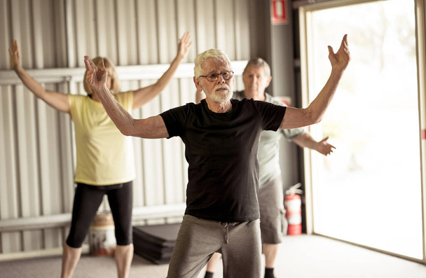Group of seniors in Tai Chi class exercising in an active retirement lifestyle. Mental and physical health benefits of exercise and fitness in elderly people. Senior health care and wellbeing concept. - Foto, Bild