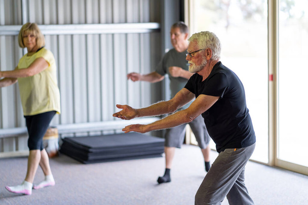 Group of seniors in Tai Chi class exercising in an active retirement lifestyle. Mental and physical health benefits of exercise and fitness in elderly people. Senior health care and wellbeing concept. - Fotografie, Obrázek