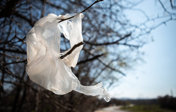 Белый пластиковый пакет, брошенный и повешенный на ветке дерева. Кто-то бросил сумку и загрязнил окружающую среду. Сзади видна дорога, ведущая в деревню.. - Фото, изображение