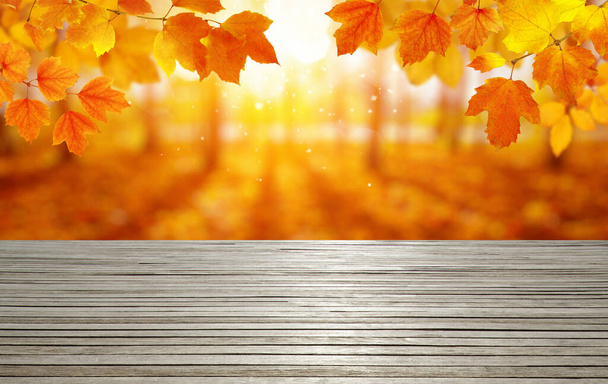 Dřevěné desky a podzimní listy ve slunečních paprscích  - Fotografie, Obrázek
