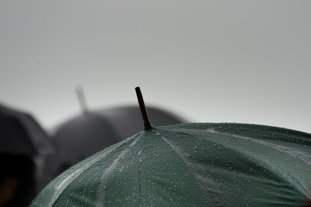 Regenschirm bei Regen - Foto, Bild