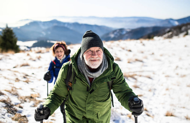 Senior couple with nordic walking poles hiking in snow-covered winter nature. - Foto, afbeelding