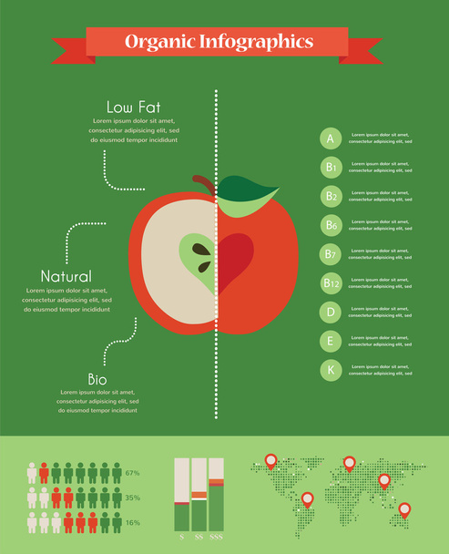 Organic infographics with apple and charts - Vektor, Bild