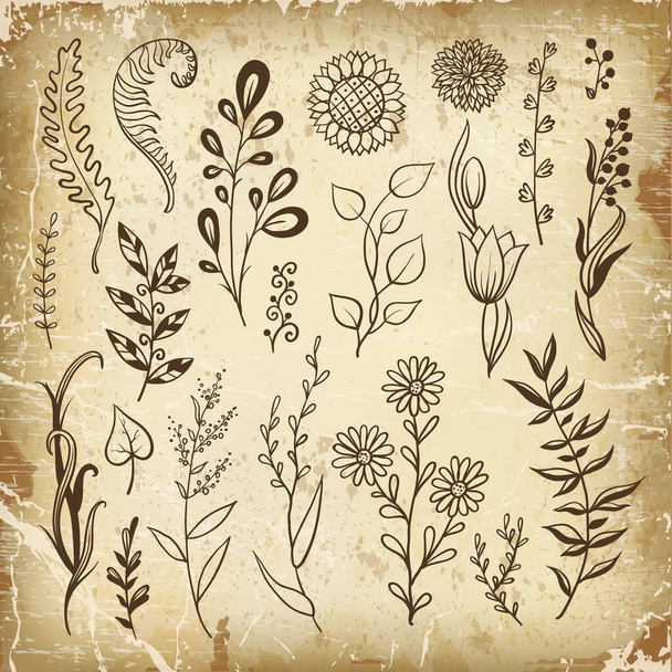 Hand drawn floral elements for your design. Flowers, herbs and leaves in doodle style. Vector illustration - ベクター画像