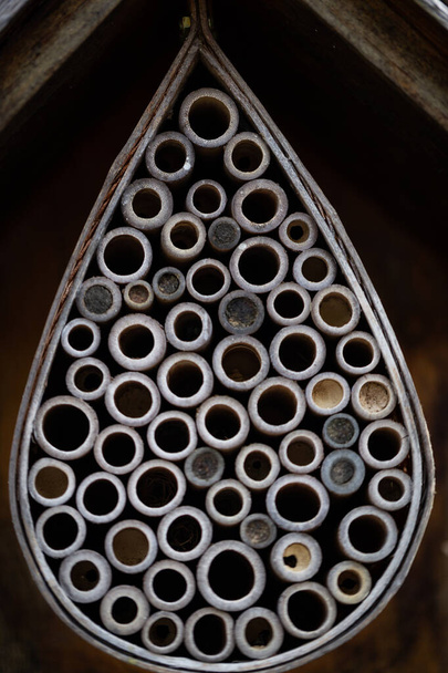 Caja de anidación de abejas e insectos en forma de gota de agua - Foto, imagen