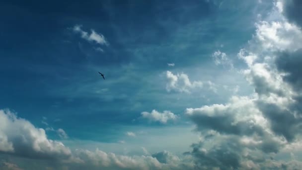 проміжок часу яскравих хмар
 - Кадри, відео