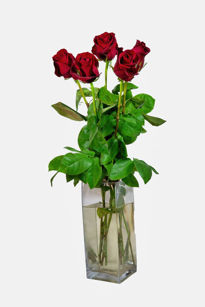 Bouquet of five red roses isolate on a white background. Roses bouquet isolated on white background. - Foto, afbeelding