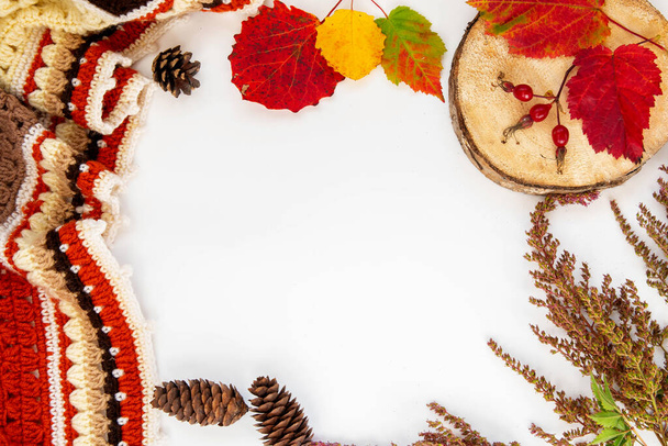 Autumn composition. Flat lay crochet plaid, autumn leaves and grass, pine cones on a white background. Copy space. - Zdjęcie, obraz
