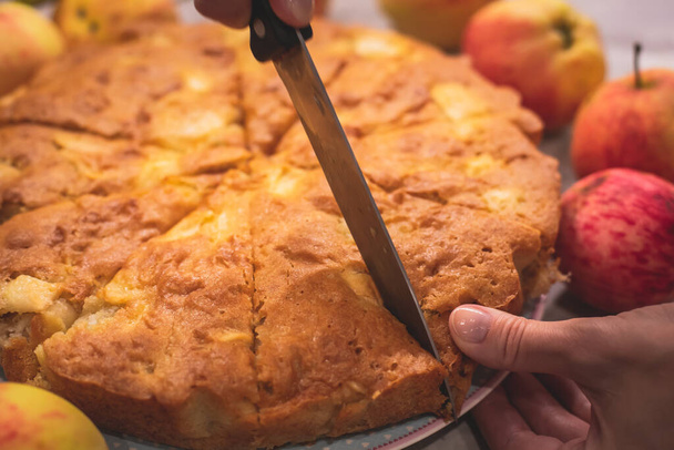 View of Sharlotka cake - traditional seasonal apple homemade baked sponge pi - Fotó, kép