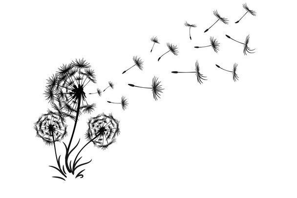 mniszek lekarski z latającymi nasionami ilustracja - Wektor, obraz