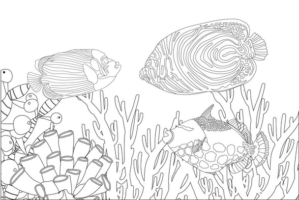 Colorant exotique de poisson. Coloriage antistress. Des créatures marines. Des poissons marins. illustration. - Photo, image
