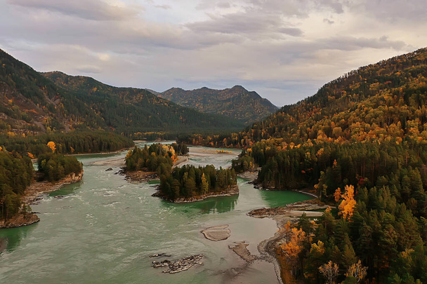 landscape altai russia, autumn top view, drone over the forest - Foto, Imagen