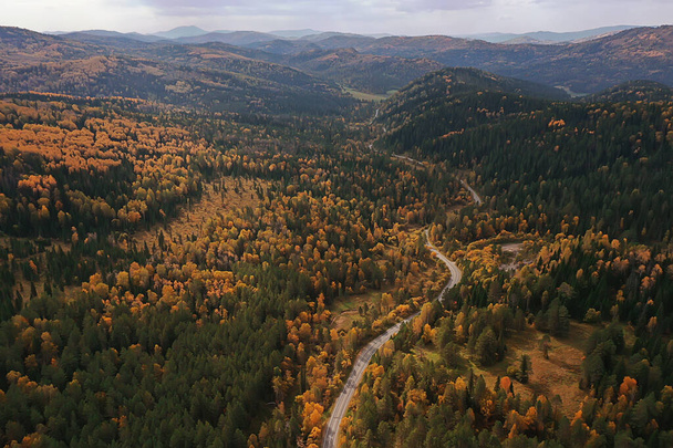 landscape altai russia, autumn top view, drone over the forest - Foto, imagen