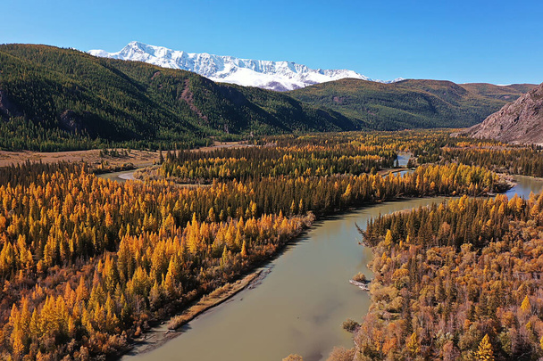 landscape altai russia, autumn top view, drone over the forest - Zdjęcie, obraz