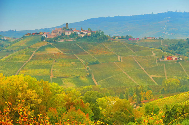 Langhe krajina na podzim, Piemont, Itálie - Fotografie, Obrázek