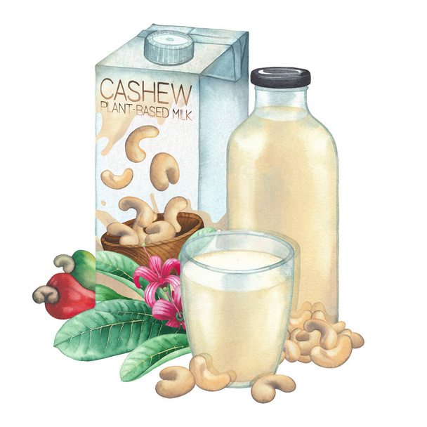 Carton aquarelle de lait végétal décoré avec du verre, bouteille, noix de cajou et plantes - Photo, image