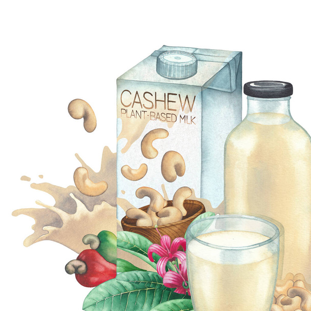 Carton aquarelle de lait végétal décoré avec du verre, bouteille, noix de cajou et plantes. - Photo, image