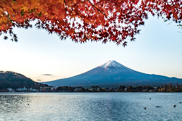 Bunte Herbst in Mount Fuji, Japan - Lake Kawaguchiko ist einer der besten Orte in Japan, um Mount Fuji Landschaft aus Ahornblättern zu genießen, die ihre Farbe ändern und das Bild jener Blätter geben, die den Mount Fuji umrahmen. - Foto, Bild