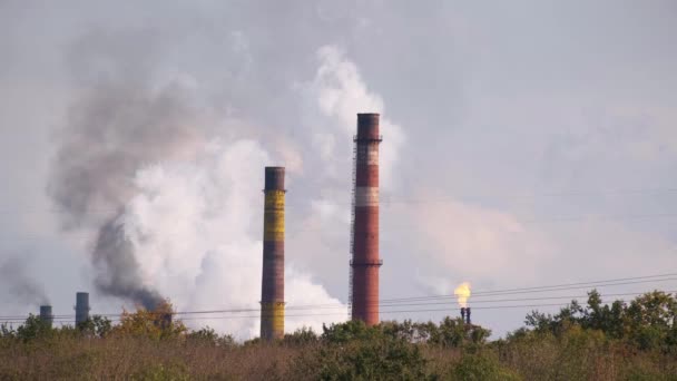 Fumo di tubi di fabbrica. Problema ambientale globale dell'inquinamento atmosferico e naturale da impianti di industrie pesanti. - Filmati, video