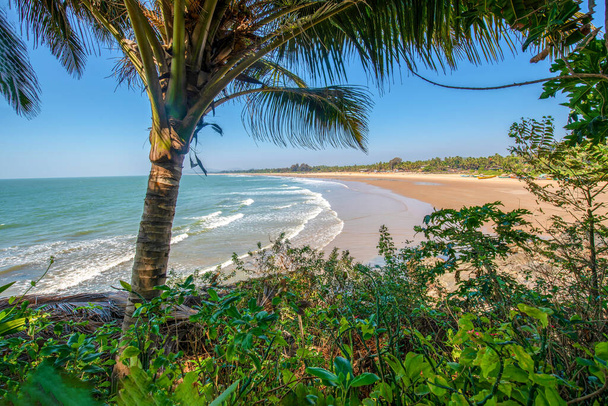 Amazing view on  Main beach of Gokarna . Foreground-  palm Tree - Foto, Imagem