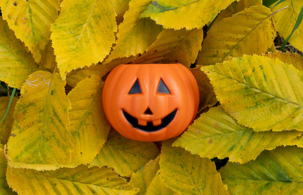 Хелловін гарбуз на осінніх листках, осінній день концепції - Фото, зображення