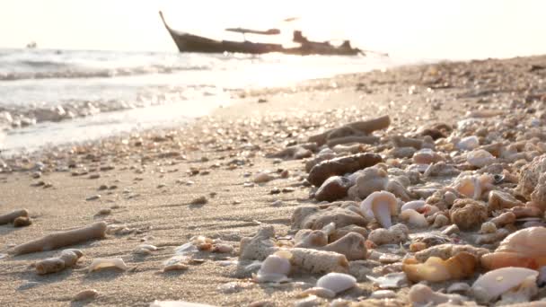 Zeewater golven bewegen zich door zee schelpen en koraal fragmenten hopen op gouden strand ochtend zonlicht met silhouet vissersboot wazig achtergrond. - Video