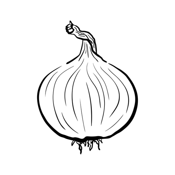 Hand drawn onion sketch. Black silhouette of a whole bulb isolated on a white background. Organic vegetarian product drawn in cartoon style. Imitation of ink drawing. Vector illustration. - Vector, Image
