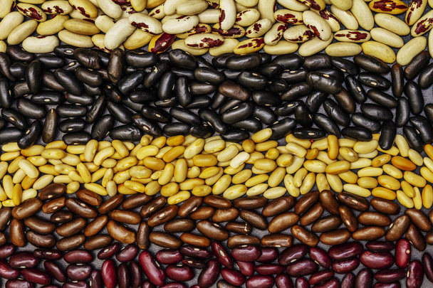 Set of various dry legumes scattered in stripes, indispensable protein for a healthy lifestyle. Assorted different types of beans on blackstone background, top view - Photo, Image